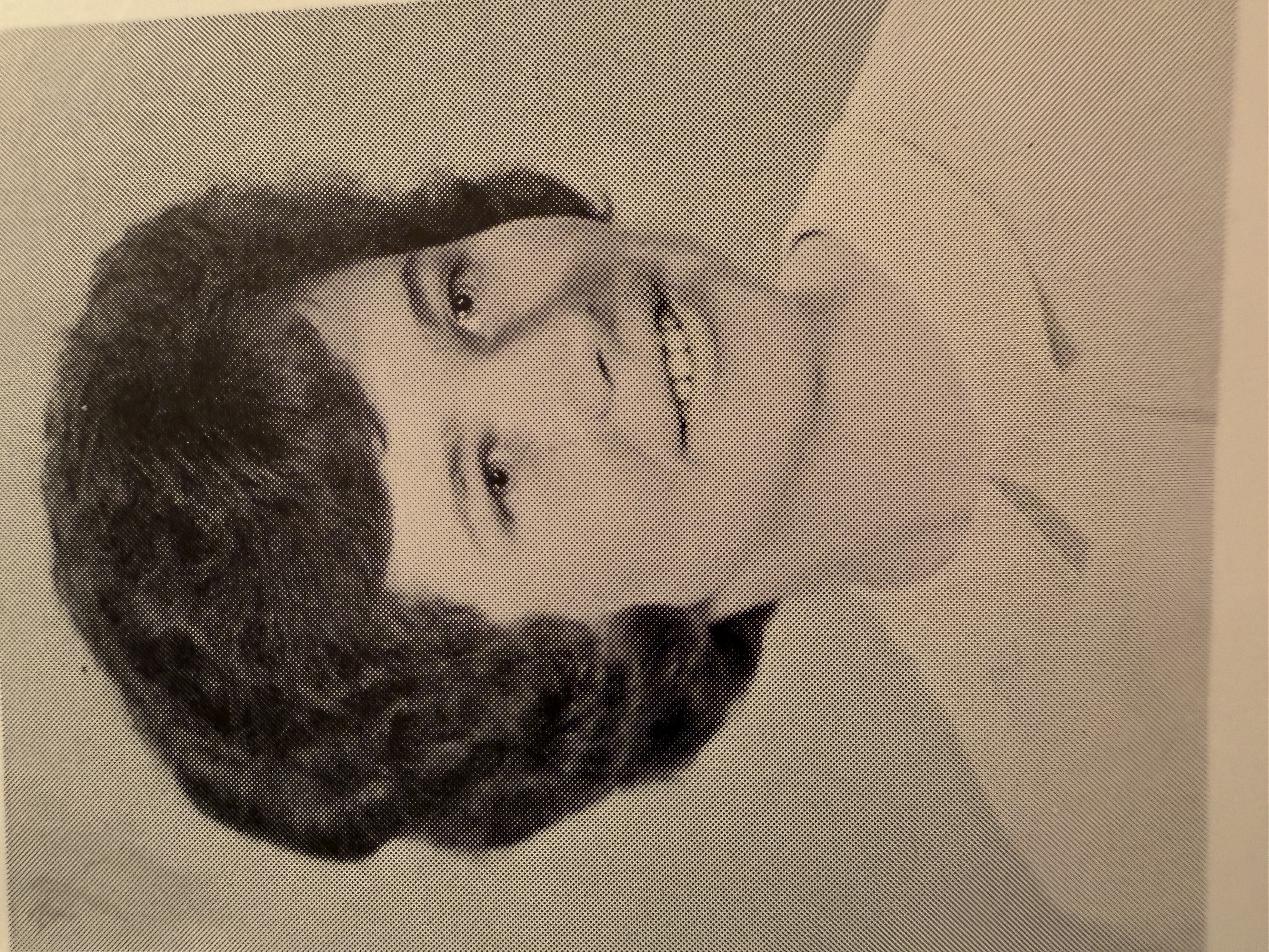 Portrait of Kathleen Behr  Montrose